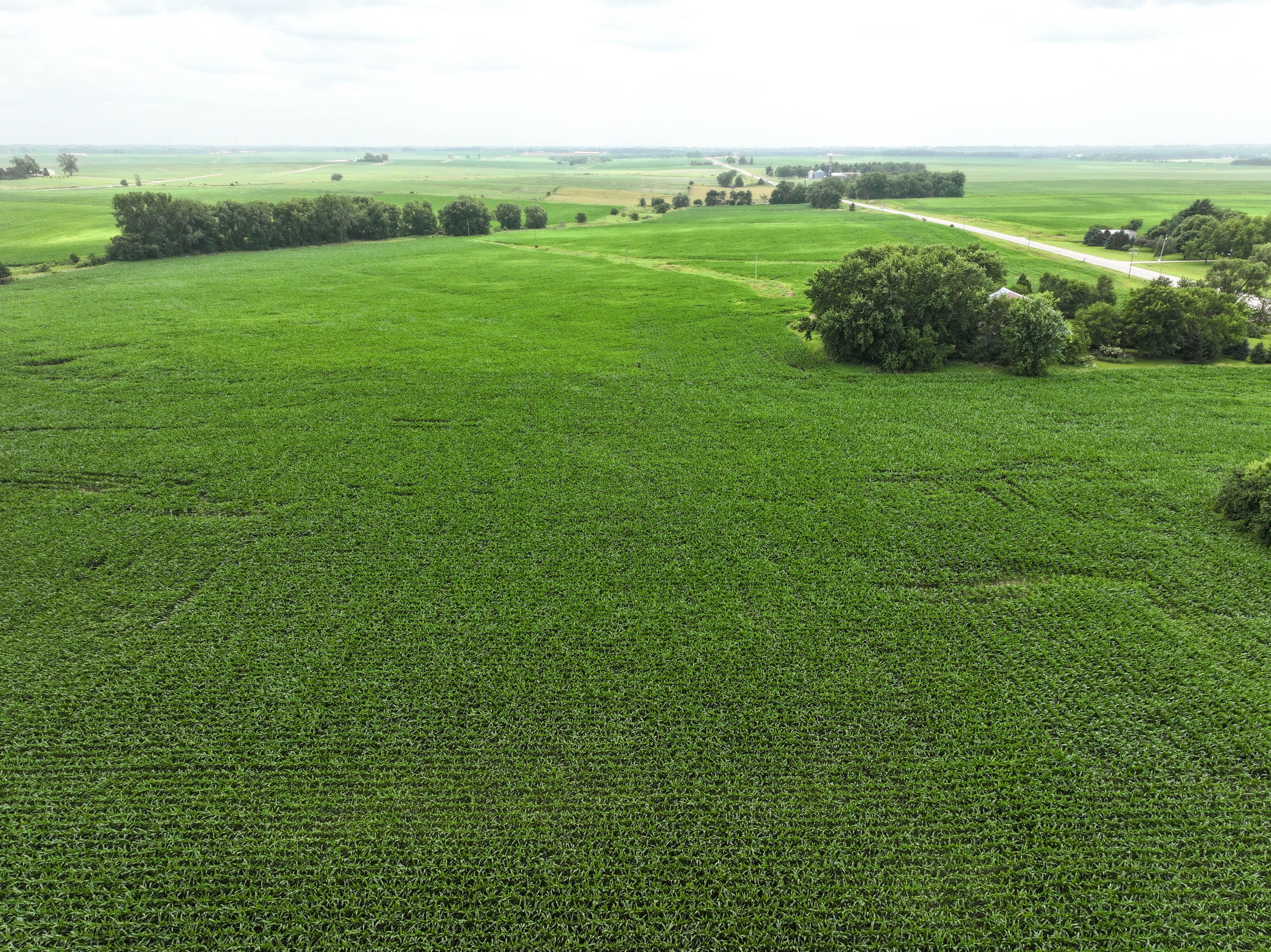 Listing Photo: 17 - Independence Iowa Farmland Auction
